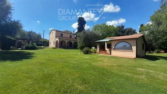 Vente Maison SCANSANO  GR en Italie