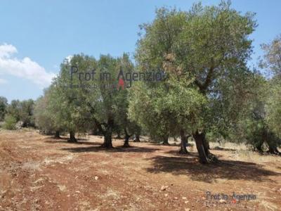 Vente Maison OSTUNI  BR en Italie