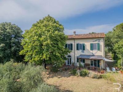 Annonce Vente Maison Terricciola