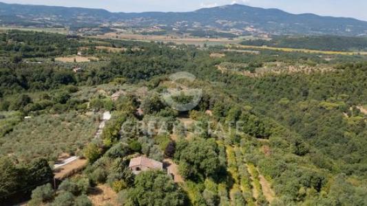 Acheter Maison Citta-della-pieve