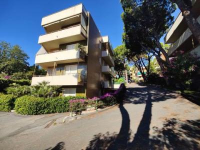 Annonce Vente 2 pices Appartement Sanremo