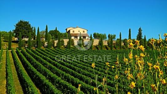 Acheter Maison Sarteano rgion SIENA