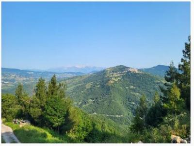 Vente Appartement PALMOLI  CH en Italie