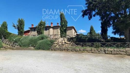 Acheter Maison 1660 m2 Sorano