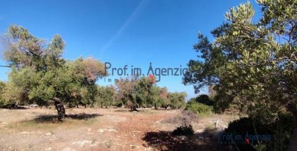 Annonce Vente Terrain Carovigno