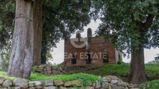 Annonce Vente Maison San-gimignano