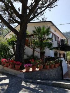 Annonce Vente Maison Palermo