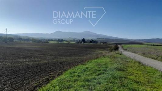 Annonce Vente Terrain Castiglione-d'orcia