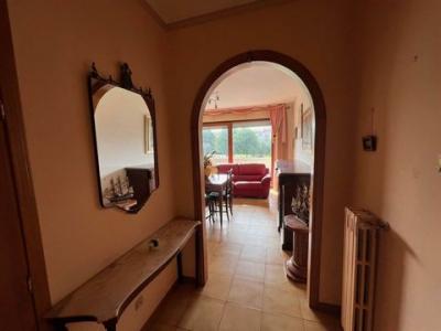 Acheter Appartement Castagneto-carducci rgion LIVORNO