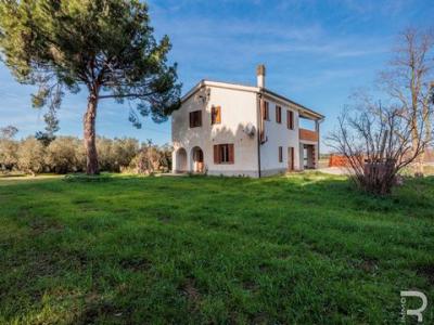 Annonce Vente Maison Manciano