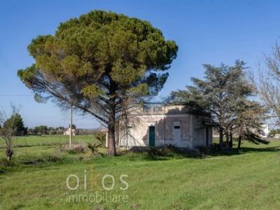 Annonce Vente 8 pices Maison Francavilla-fontana