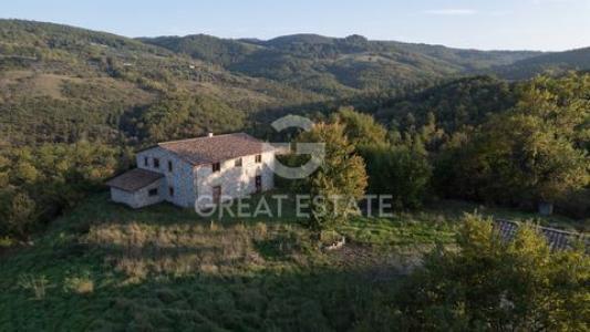 Annonce Vente Maison San-venanzo