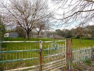 Acheter Terrain 830 m2 Castiglione-del-lago