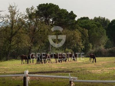 Vente Maison CASTIGLIONE-DEL-LAGO  PG en Italie