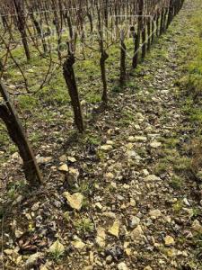 Vente Maison CASTELNUOVO-BERARDENGA  SI en Italie