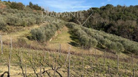 Acheter Maison Castelnuovo-berardenga rgion SIENA