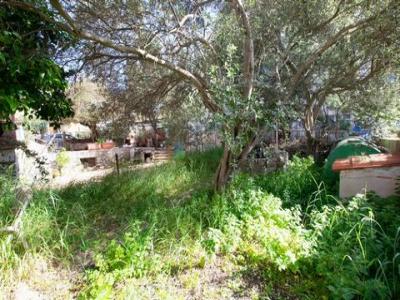 Acheter Maison Golfo-aranci rgion OLBIA-TEMPIO