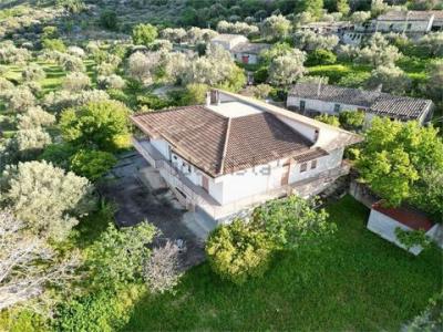 Acheter Maison 300 m2 Africo