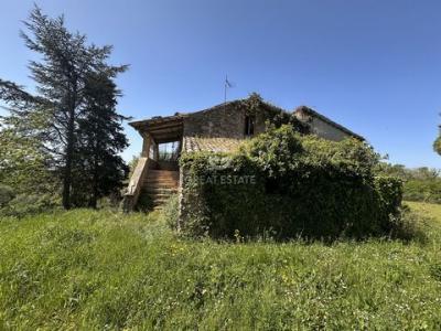 Annonce Vente Maison Massa-martana