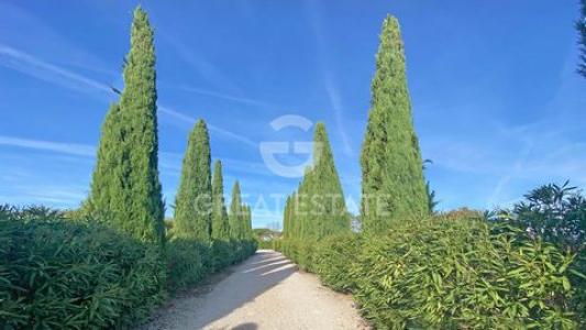 Acheter Maison Cortona