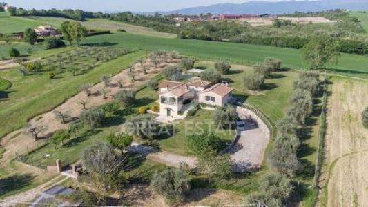 Annonce Vente Maison Montecastrilli