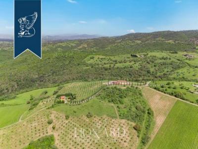 Acheter Maison 185 m2 Magliano-in-toscana