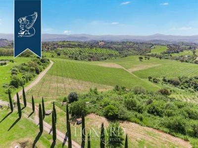 Acheter Maison Magliano-in-toscana rgion GROSSETO
