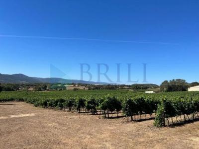 Annonce Vente Maison Berchidda
