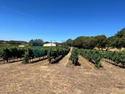 Acheter Maison 32767 m2 Berchidda