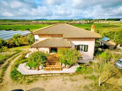 Vente Terrain OLMEDO  SS en Italie