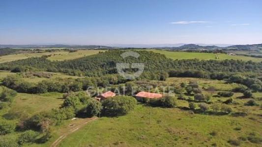 Annonce Vente Maison Pienza