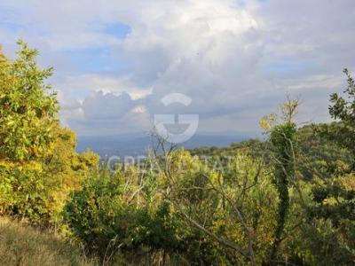 Acheter Maison Allerona rgion TERNI