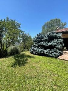 Acheter Maison Tagliolo-monferrato rgion ALESSANDRIA