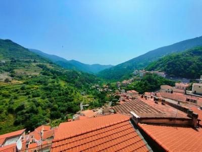 Annonce Vente 2 pices Maison Ceriana