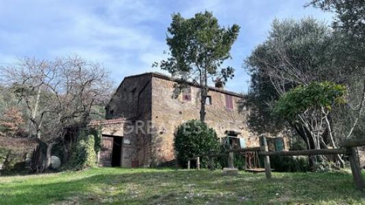Annonce Vente Maison Montalcino