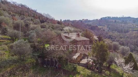 Acheter Maison Montalcino