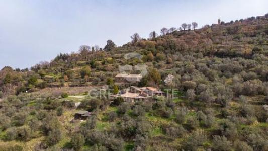 Acheter Maison Montalcino rgion SIENA