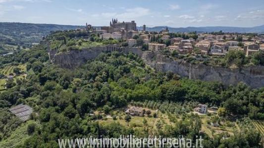 Acheter Maison 10000 m2 Orvieto