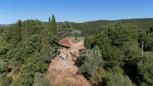 Acheter Maison Torrita-di-siena