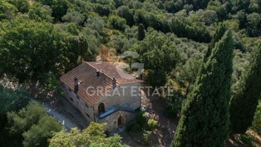 Acheter Maison Torrita-di-siena rgion SIENA