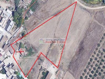 Annonce Vente Terrain Paceco