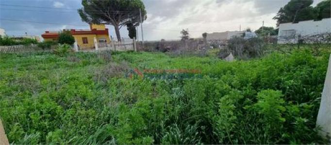 Vente Terrain PACECO  TP en Italie