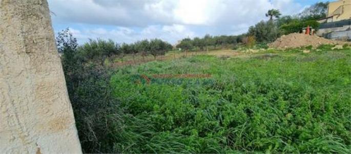 Annonce Vente Terrain Paceco