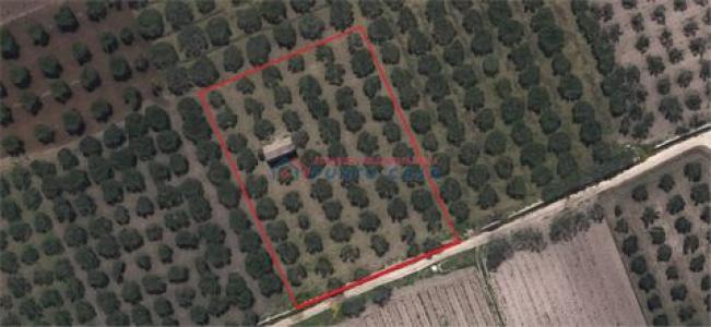 Annonce Vente Terrain Trapani