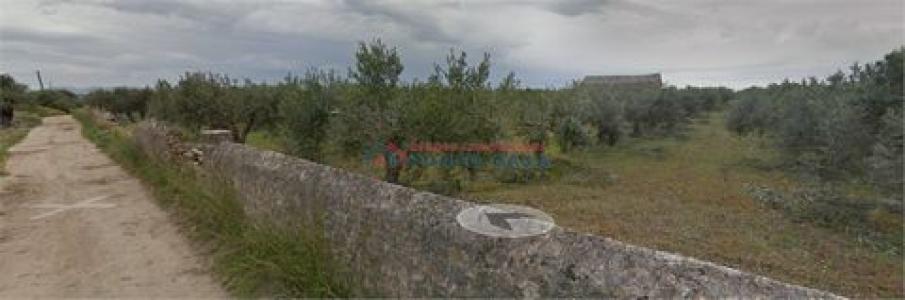 Acheter Terrain 4000 m2 Trapani