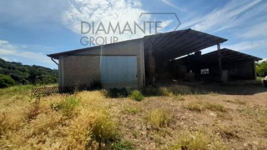 Acheter Maison 1604 m2 Manciano