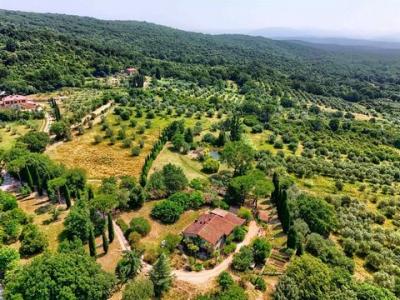 Acheter Maison 370 m2 Sassetta