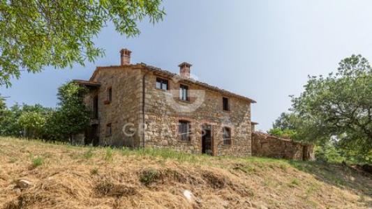 Acheter Maison Montegabbione