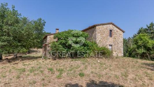 Acheter Maison Montegabbione rgion TERNI