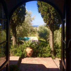 Acheter Maison 229 m2 Guardistallo